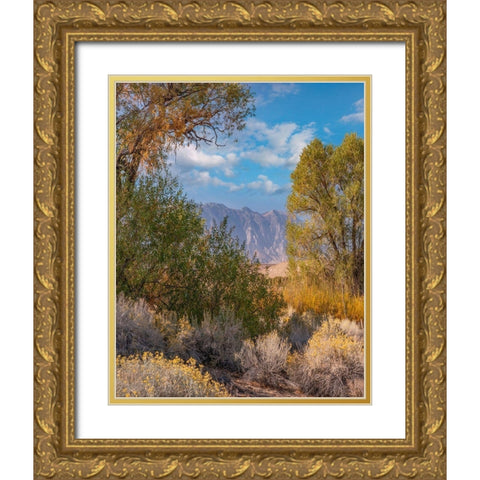 Sierra Nevada-Owens Valley-California-USA Gold Ornate Wood Framed Art Print with Double Matting by Fitzharris, Tim