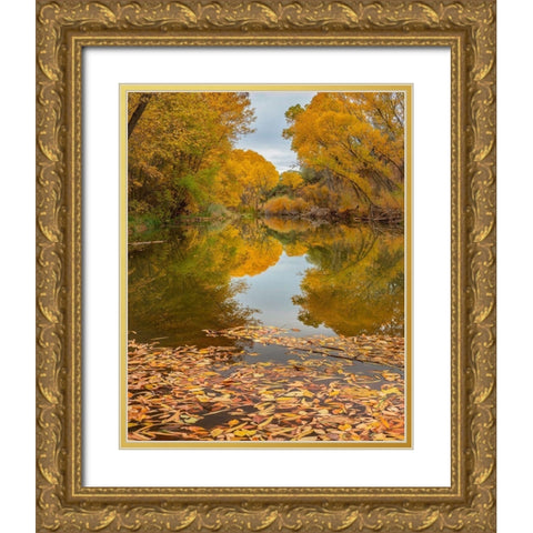 Verde River near Camp Verde-Arizona-USA Gold Ornate Wood Framed Art Print with Double Matting by Fitzharris, Tim