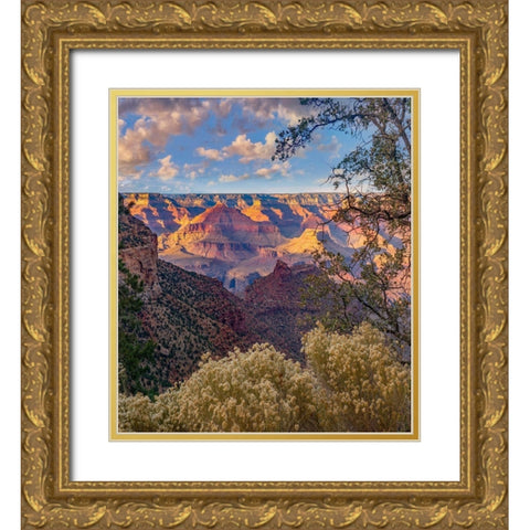 South Rim-Grand Canyon National Park-Arizona USA Gold Ornate Wood Framed Art Print with Double Matting by Fitzharris, Tim