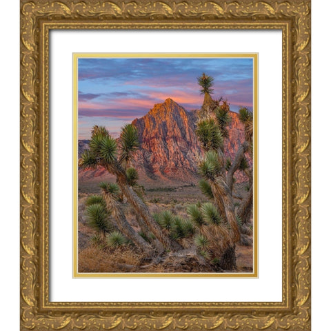 Red Rock Canyon National Conservation Area-Nevada-USA Gold Ornate Wood Framed Art Print with Double Matting by Fitzharris, Tim