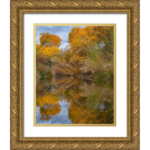 Dead Horse Ranch State Park-Arizona-USA Gold Ornate Wood Framed Art Print with Double Matting by Fitzharris, Tim