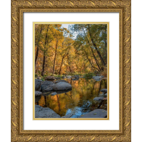 Oak Creek near Sedona-Arizona-USA Gold Ornate Wood Framed Art Print with Double Matting by Fitzharris, Tim