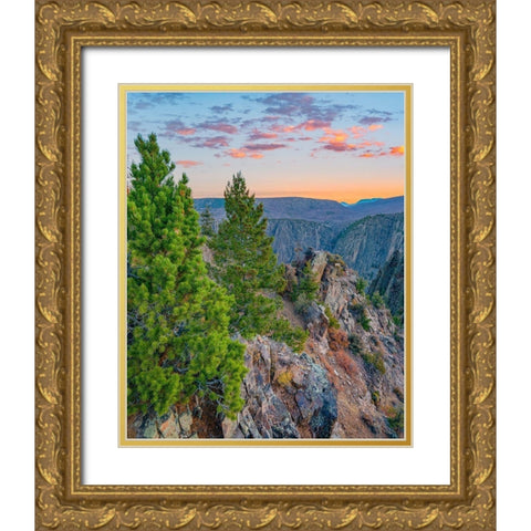 Tomichi Point-Black Canyon of the Gunnison National Park-Colorado Gold Ornate Wood Framed Art Print with Double Matting by Fitzharris, Tim