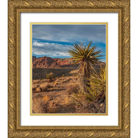 Red Rock Canyon National Conservation Area near Las Vegas-Nevada Gold Ornate Wood Framed Art Print with Double Matting by Fitzharris, Tim