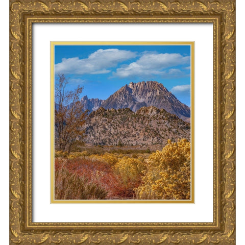 Sierra Nevada from Buttermilk Road near Bishop-California-USA Gold Ornate Wood Framed Art Print with Double Matting by Fitzharris, Tim