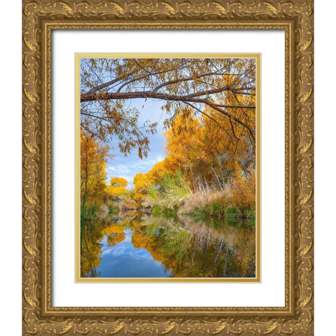 Dead Horse Ranch State Park-Arizona-USA Gold Ornate Wood Framed Art Print with Double Matting by Fitzharris, Tim