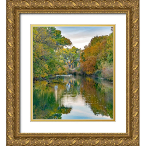 Verde River near Camp Verde-Arizona-USA Gold Ornate Wood Framed Art Print with Double Matting by Fitzharris, Tim