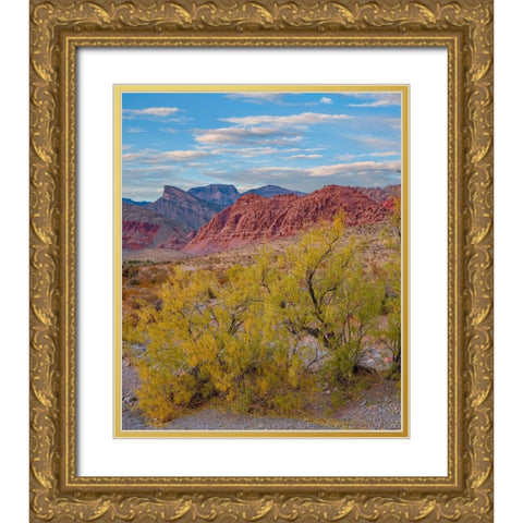 Calico Hills-Red Rock Canyon National Conservation Area-Nevada Gold Ornate Wood Framed Art Print with Double Matting by Fitzharris, Tim