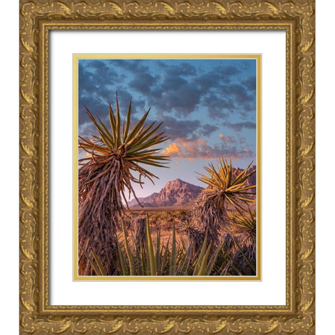 Red Rock Canyon National Conservation Area near Las Vegas-Nevada Gold Ornate Wood Framed Art Print with Double Matting by Fitzharris, Tim