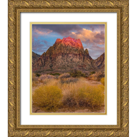 Spring Mountains-Red Rock Canyon National Conservation Area-Nevada Gold Ornate Wood Framed Art Print with Double Matting by Fitzharris, Tim