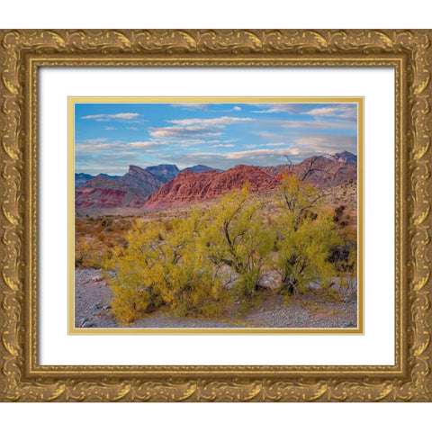 Spring Mountains-Red Rock Canyon National Conservation Area-Nevada Gold Ornate Wood Framed Art Print with Double Matting by Fitzharris, Tim