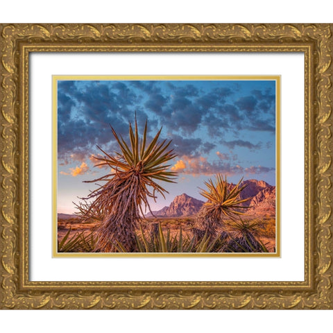 Red Rock Canyon National Conservation Area near Las Vegas-Nevada Gold Ornate Wood Framed Art Print with Double Matting by Fitzharris, Tim