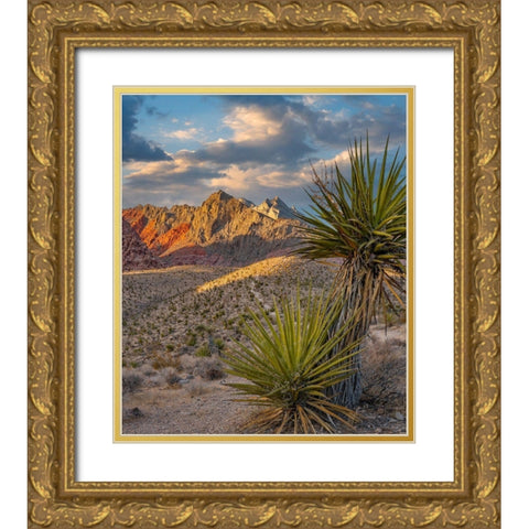 Red Rock Canyon National Conservation Area near Las Vegas-Nevada Gold Ornate Wood Framed Art Print with Double Matting by Fitzharris, Tim