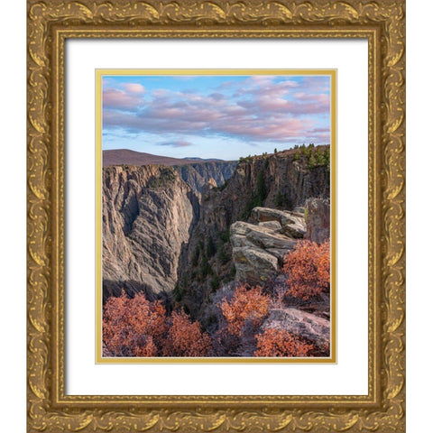 Devils Overlook-Black Canyon of the Gunnison National Park Gold Ornate Wood Framed Art Print with Double Matting by Fitzharris, Tim