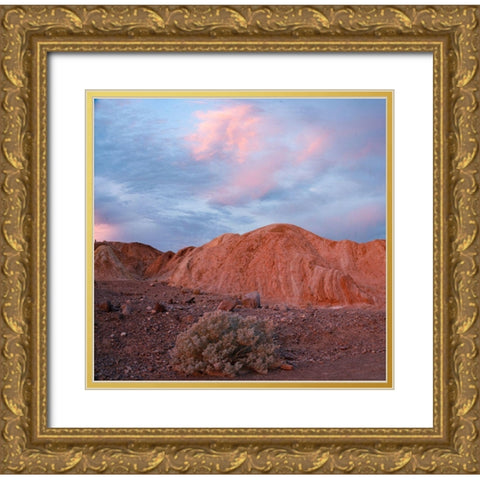 Death Valley Gold Ornate Wood Framed Art Print with Double Matting by Fitzharris, Tim
