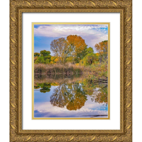 Dead Horse Ranch State Park-Arizona-USA Gold Ornate Wood Framed Art Print with Double Matting by Fitzharris, Tim