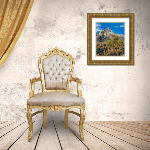 Lone Pine and Cottonwood Tree-Sierra Nevada-CA Gold Ornate Wood Framed Art Print with Double Matting by Fitzharris, Tim