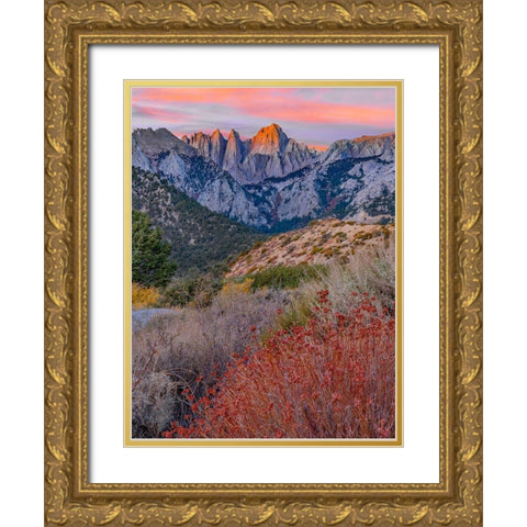 Mount Whitney-Sequoia National Park Inyo-National Forest-California Gold Ornate Wood Framed Art Print with Double Matting by Fitzharris, Tim