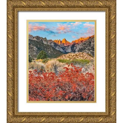 Mount Whitney-Sequoia National Park Inyo-National Forest-California Gold Ornate Wood Framed Art Print with Double Matting by Fitzharris, Tim