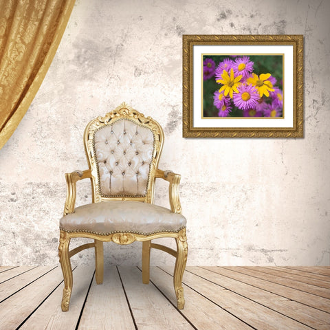 Little Sunflowers and Asters Gold Ornate Wood Framed Art Print with Double Matting by Fitzharris, Tim