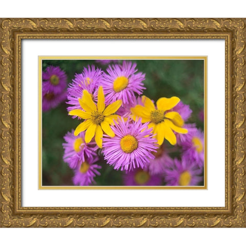 Little Sunflowers and Asters Gold Ornate Wood Framed Art Print with Double Matting by Fitzharris, Tim