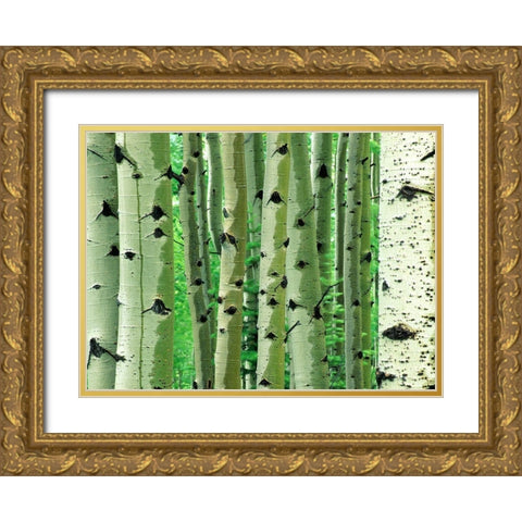 Aspen Trunks Gold Ornate Wood Framed Art Print with Double Matting by Fitzharris, Tim