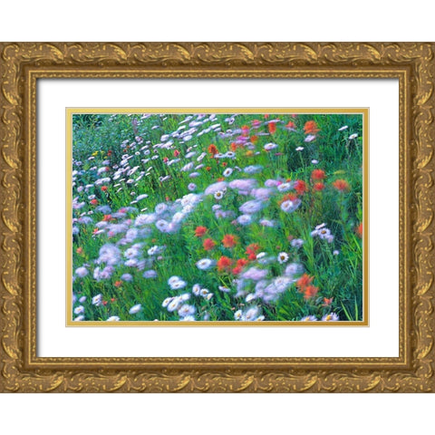 Alpine Wildflowers Gold Ornate Wood Framed Art Print with Double Matting by Fitzharris, Tim