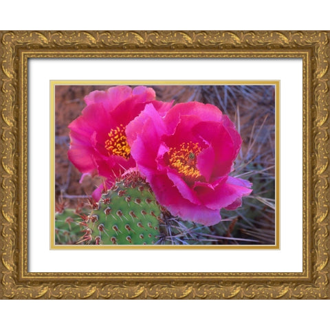 Grizzly Bear Cactus Gold Ornate Wood Framed Art Print with Double Matting by Fitzharris, Tim