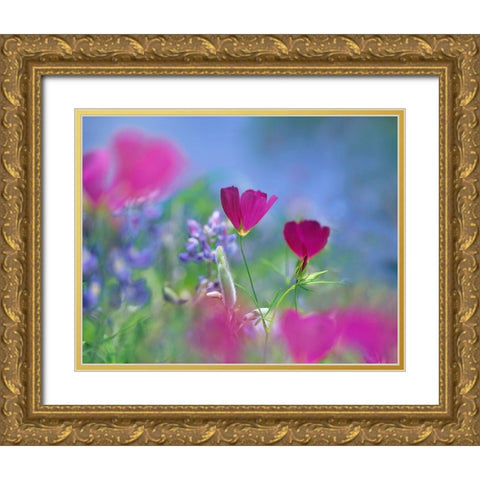 Wine cups and Texas Bluebonnets Gold Ornate Wood Framed Art Print with Double Matting by Fitzharris, Tim