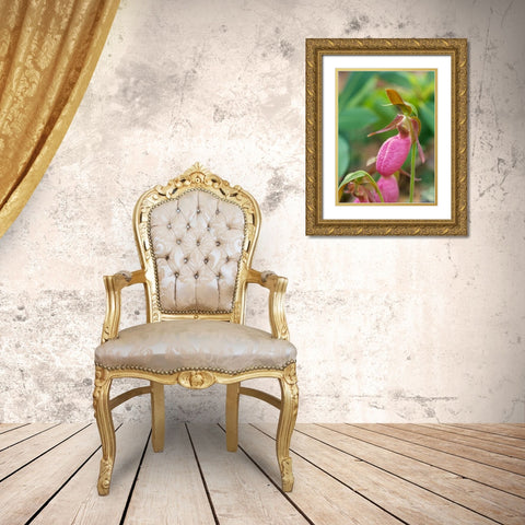 Pink Ladys Slipper Orchid Gold Ornate Wood Framed Art Print with Double Matting by Fitzharris, Tim