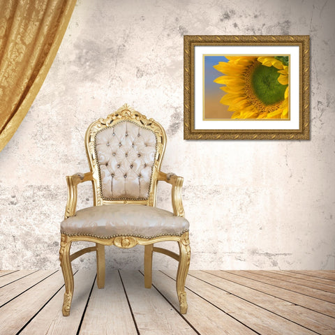 Sunflowers III Gold Ornate Wood Framed Art Print with Double Matting by Fitzharris, Tim