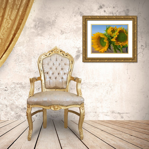 Sunflowers IV Gold Ornate Wood Framed Art Print with Double Matting by Fitzharris, Tim