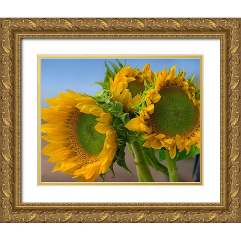 Sunflowers IV Gold Ornate Wood Framed Art Print with Double Matting by Fitzharris, Tim