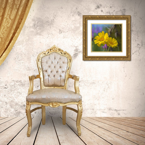 Desert Marigolds I Gold Ornate Wood Framed Art Print with Double Matting by Fitzharris, Tim