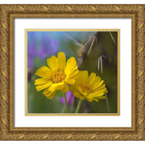 Desert Marigolds I Gold Ornate Wood Framed Art Print with Double Matting by Fitzharris, Tim