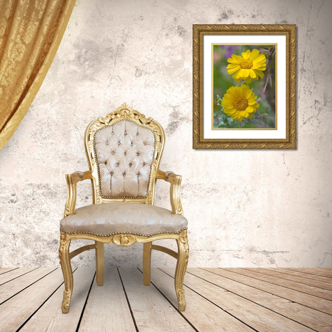 Desert Marigolds II Gold Ornate Wood Framed Art Print with Double Matting by Fitzharris, Tim