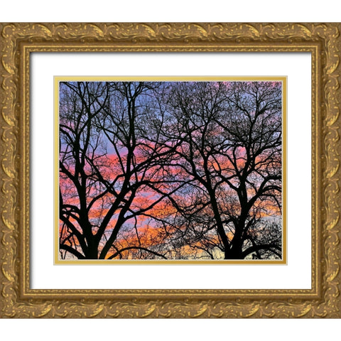 Cottonwood Tree at Sunset Gold Ornate Wood Framed Art Print with Double Matting by Fitzharris, Tim