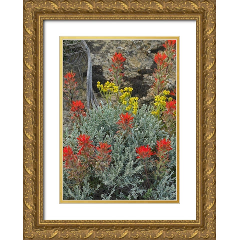 Indian Paintbrush II Gold Ornate Wood Framed Art Print with Double Matting by Fitzharris, Tim