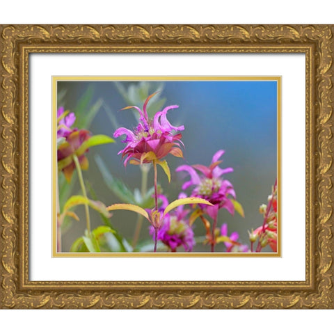 Lemon Mint Wildflowers Gold Ornate Wood Framed Art Print with Double Matting by Fitzharris, Tim