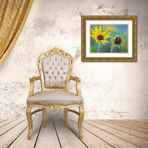 Priarie Sunflowers II Gold Ornate Wood Framed Art Print with Double Matting by Fitzharris, Tim