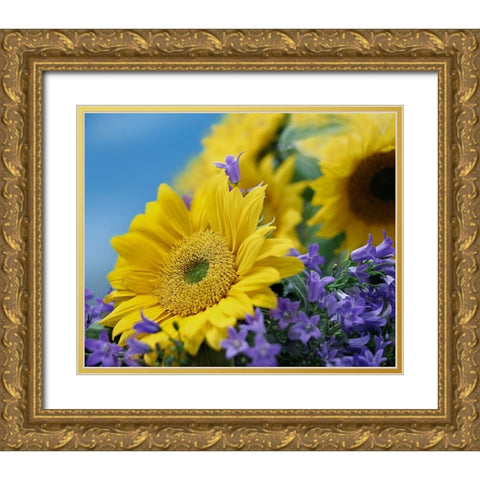 Sunflowers and Campanula Gold Ornate Wood Framed Art Print with Double Matting by Fitzharris, Tim