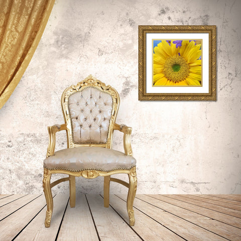 Sunflowers  Gold Ornate Wood Framed Art Print with Double Matting by Fitzharris, Tim