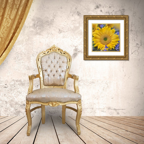 Sunflowers  Gold Ornate Wood Framed Art Print with Double Matting by Fitzharris, Tim