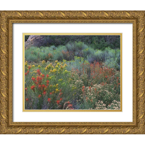 Indian Paintbrushes and Chamisas Gold Ornate Wood Framed Art Print with Double Matting by Fitzharris, Tim