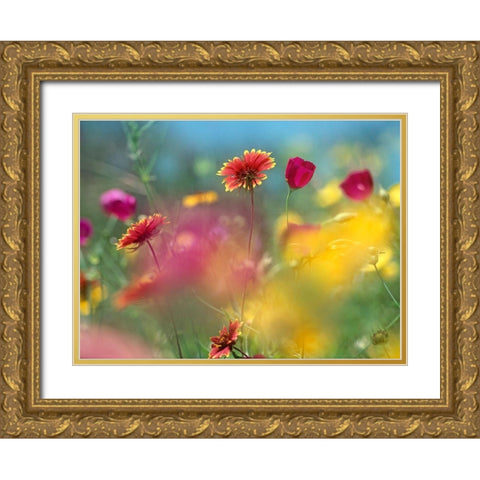 Indian Blanket and Wine-cups Gold Ornate Wood Framed Art Print with Double Matting by Fitzharris, Tim