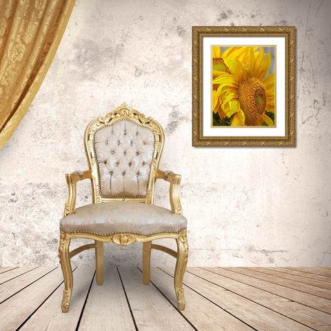 Sunflowers Gold Ornate Wood Framed Art Print with Double Matting by Fitzharris, Tim