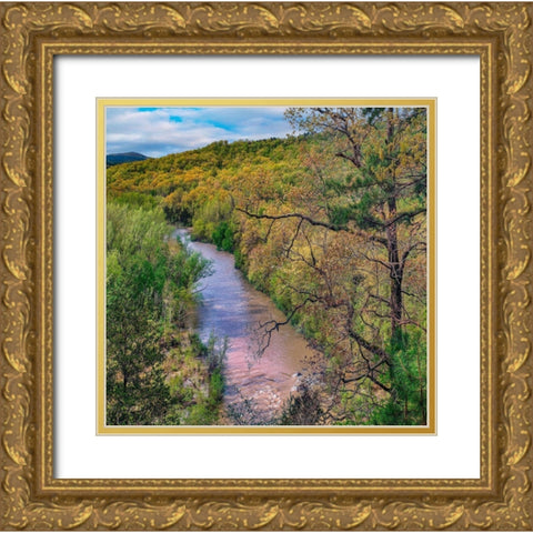 Mulberry National Wild and Scenic River Gold Ornate Wood Framed Art Print with Double Matting by Fitzharris, Tim