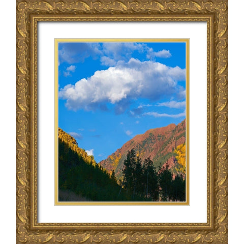 White River National Forest Gold Ornate Wood Framed Art Print with Double Matting by Fitzharris, Tim
