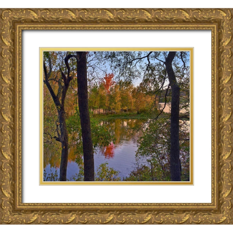 Oak Hickory Forest Gold Ornate Wood Framed Art Print with Double Matting by Fitzharris, Tim