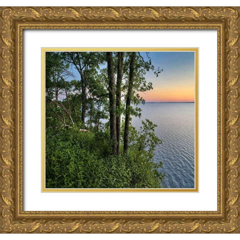 Oak Trees at Eisenhower Lake Gold Ornate Wood Framed Art Print with Double Matting by Fitzharris, Tim